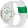 Ceas Dama, Ice, Ice Forever IC017762