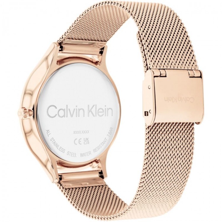 Ceas Dama, Calvin Klein, Timeless 2h 25200002 Ceas Dama, Calvin Klein, Timeless 2h 25200002