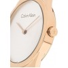 Ceas Dama, Calvin Klein, Whirl K8A23646