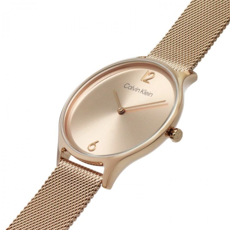 Ceas Dama, Calvin Klein, Timeless 2h 25200002 Ceas Dama, Calvin Klein, Timeless 2h 25200002