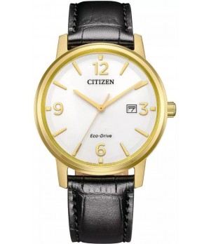 Ceas Barbati, Citizen, Eco-Drive BM6756-01A