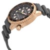 Ceas Barbati, Citizen, Promaster Dive BN0163-00H