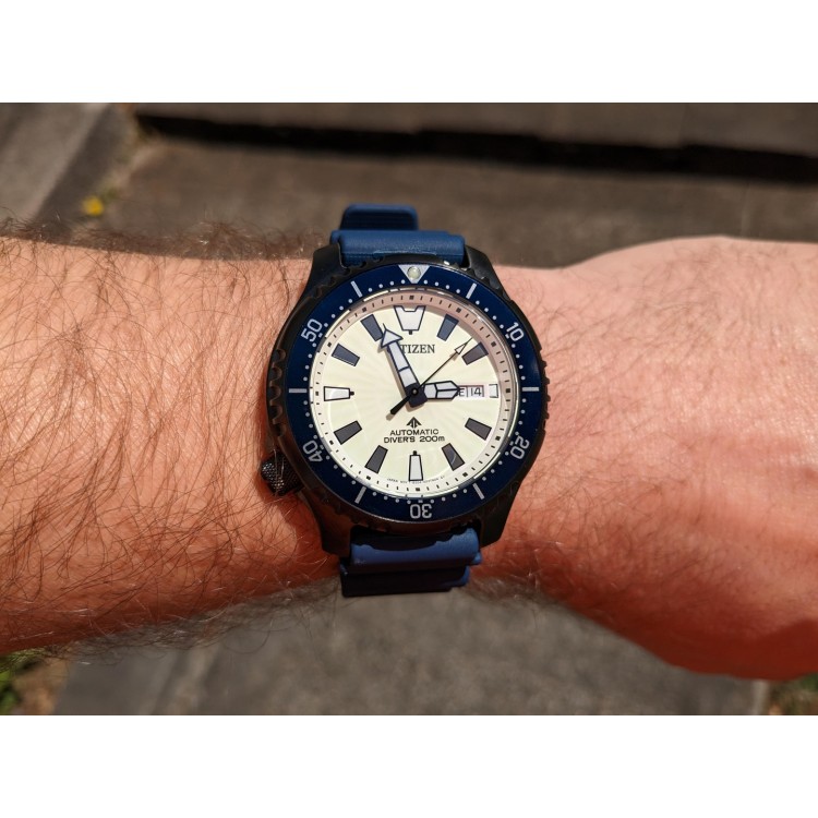 Ceas Barbati, Citizen, Promaster Dive NY0137-09A