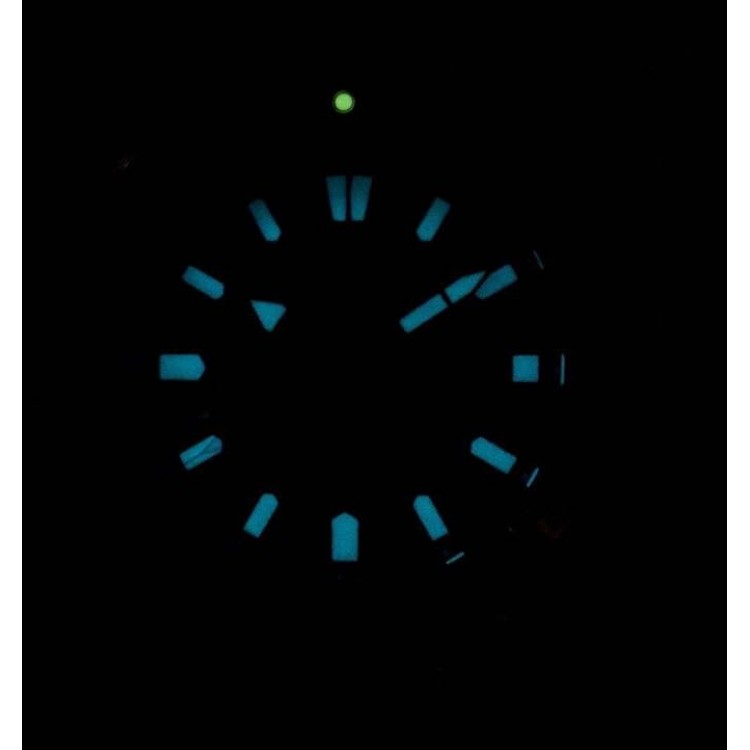 Ceas Barbati, Citizen, Promaster Eco-Drive BN0200-81E
