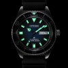 Ceas Barbati, Citizen, Promaster Mechanical Diver NY0129-07LE