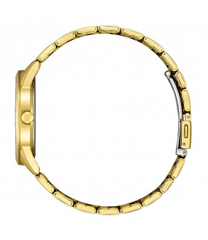 Ceas Barbati, Citizen, Quartz BI5009-58A