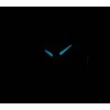 Ceas Dama, Citizen, Super Titanium EW2210-53L