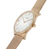 Ceas Dama, Cluse, Feroce CW0101212002