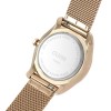 Ceas Dama, Cluse, Feroce CW0101212002