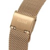 Ceas Dama, Cluse, Feroce CW0101212002