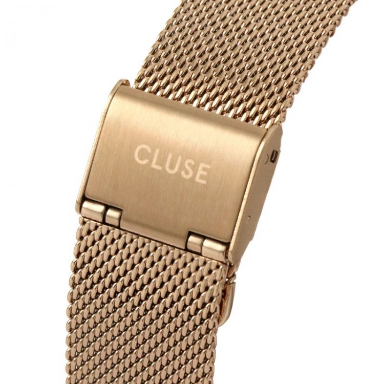 Ceas Dama, Cluse, Feroce CW0101212002