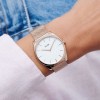 Ceas Dama, Cluse, Feroce CW0101212002