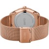 Ceas Dama, Cluse, Feroce CW0101212002