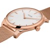 Ceas Dama, Cluse, Feroce CW0101212002