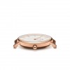 Ceas Dama, Daniel Wellington, Classic DW00100313