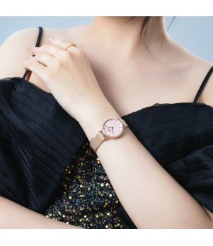 Ceas Dama, Daniel Wellington, Petite DW00100663