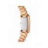 Ceas Dama, Daniel Wellington, Petite DW00100699