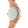 Ceas Daniel Wellington, Iconic Link DW00100344