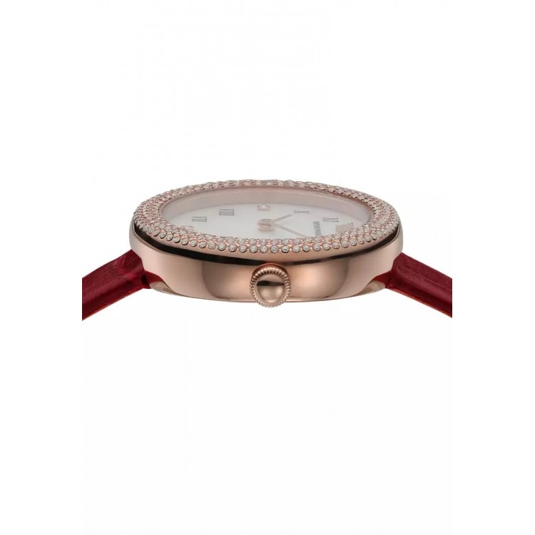 Ceas Dama, Emporio Armani, Mother of Pearl AR11357