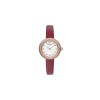 Ceas Dama, Emporio Armani, Mother of Pearl AR11417