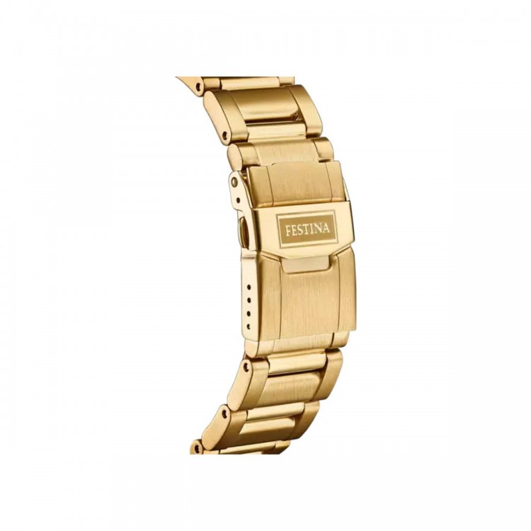 Ceas Barbati, Festina, Prestige F20492/1