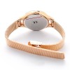 Ceas Dama, Festina, Mademoiselle cu Cristale Swarovski F20333/1