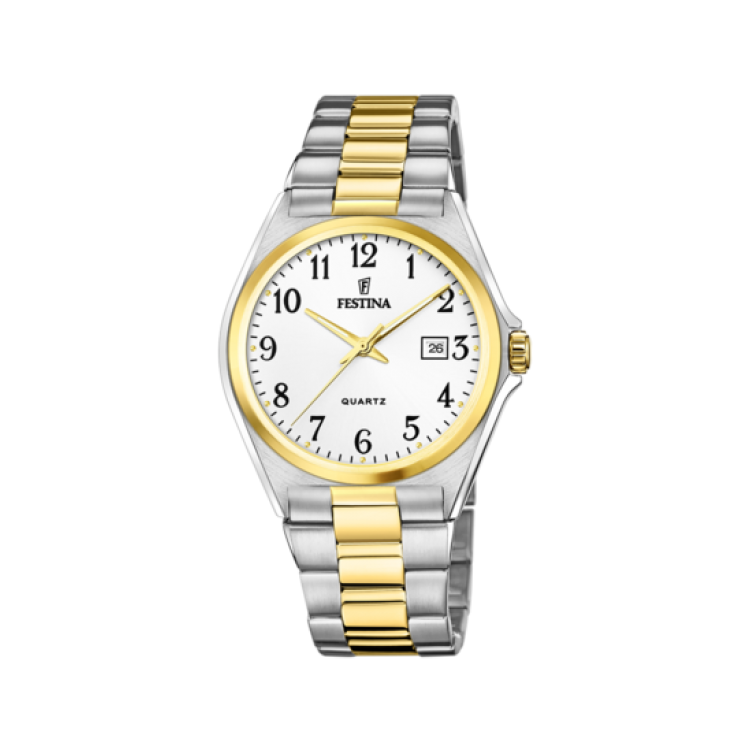 Ceas Barbati, Festina, Classic F20554/1