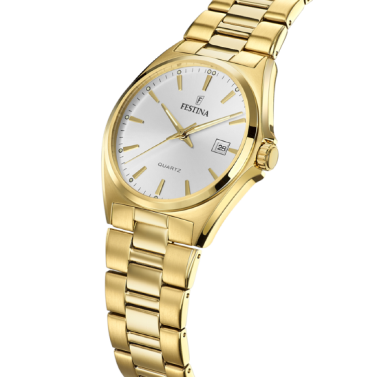 Ceas Barbati, Festina, Classic F20555/2