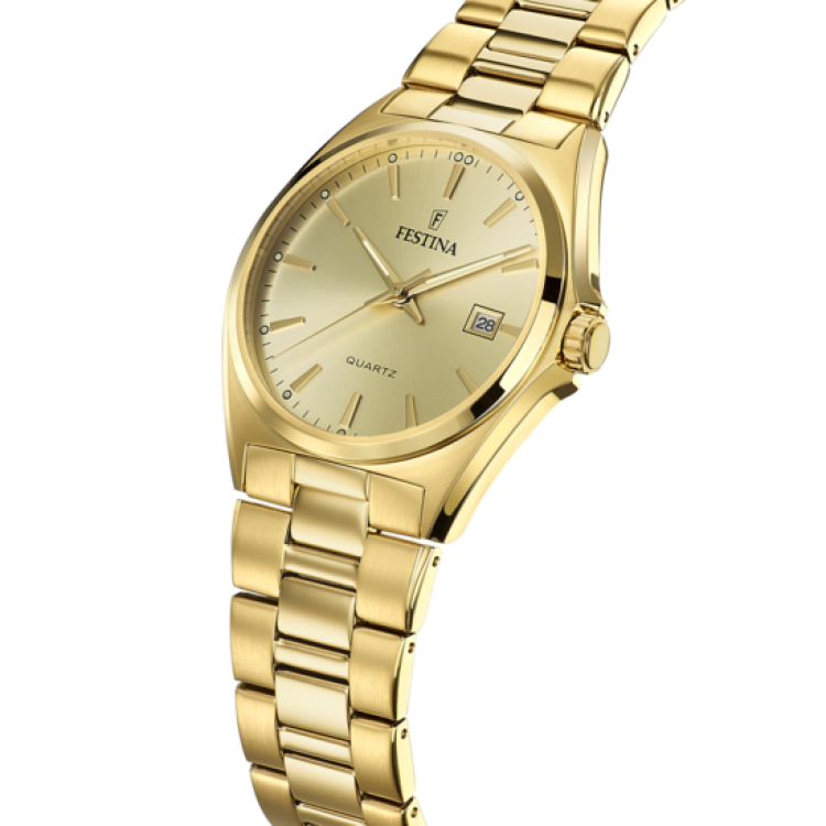 Ceas Barbati, Festina, Classic F20555/3
