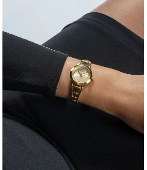 Ceas Dama, Guess, Tessa GW0609L2
