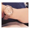 Ceas Dama, Michael Kors, Parker MK5663