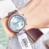 Ceas Dama, Michael Kors, Parker MK6104