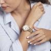 Ceas Dama, Michael Kors, Camille MK6844 Ceas Dama, Michael Kors, Camille MK6844