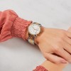 Ceas Dama, Michael Kors, Ritz MK6474
