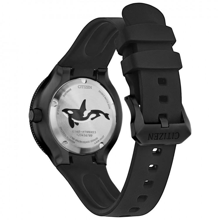 Ceas Barbati, Citizen, Promaster BN0235-01E