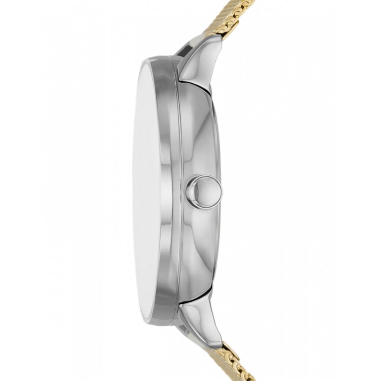 Ceas Dama, Skagen, Riis SKW3092