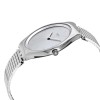 Ceas Swatch, Skinpole SYXS103GG