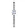 Ceas Swatch, Skinpole SYXS103GG