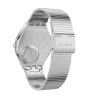 Ceas Swatch, Skinpole SYXS103GG