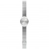 Ceas Swatch, Skinpole SYXS103GG