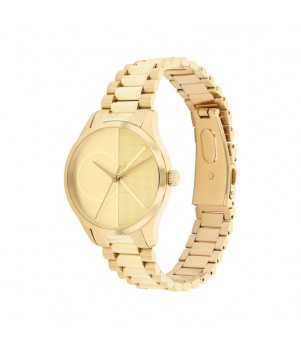 Ceas Dama, Calvin Klein, Iconic 25200346