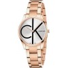 Ceas Dama, Calvin Klein, Time K4N23X46 Ceas Dama, Calvin Klein, Time K4N23X46