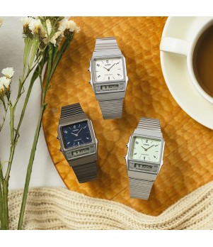 Ceas Casio, Vintage Edgy AQ-800E-3AEF