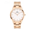 Ceas Daniel Wellington, ICONIC Link DW00100343