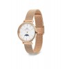 Ceas Daniel Wellington, Iconic Link DW00100773