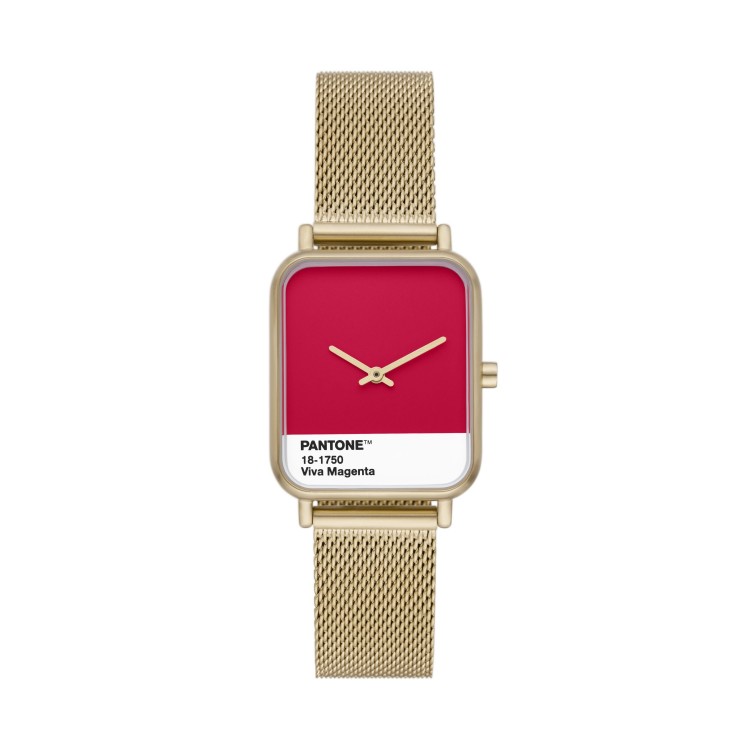 Ceas Dama, Skagen, Ryle x Pantone SKW3075 Ceas Dama, Skagen, Ryle x Pantone SKW3075