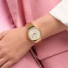 Ceas Dama, Swatch, Skin SYXG126G Ceas Dama, Swatch, Skin SYXG126G