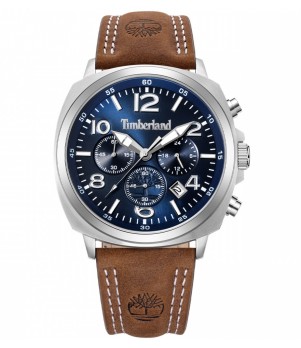 Ceas Barbati, Timberland, Allendale TDWGC0068503