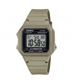 Ceas Barbati, Casio, Collection W-21 W-217H-5AVDF