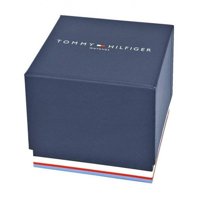 Ceas Barbati, Tommy Hilfiger, Brad 1710391
